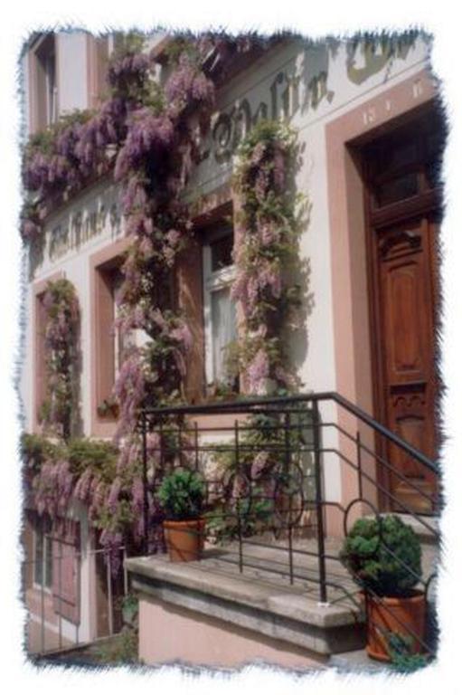 Gasthaus Neupert Lemberg Exterior foto